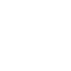 Bitcoin Gold BTG Icon White